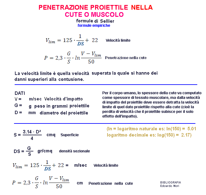 fis168-stampa