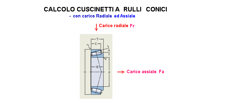 fis21-stampa